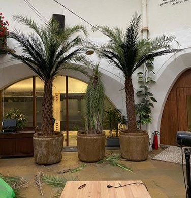 Artificial Palm Tree