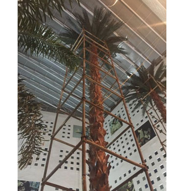 Artificial Palm Tree