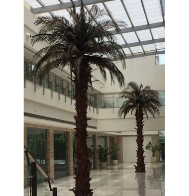 Artificial Palm Tree