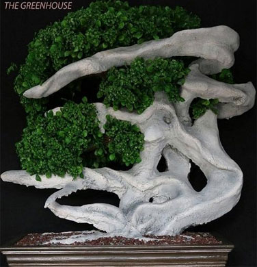 Artificial Bonsai