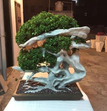 Artificial Bonsai