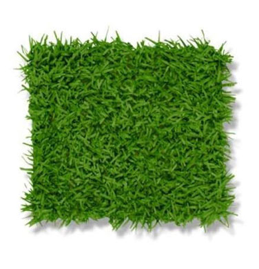 Artificial Green Wall