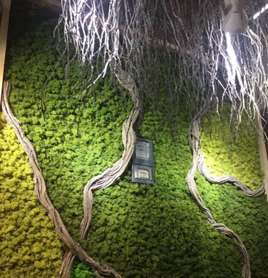 Artificial Green Wall