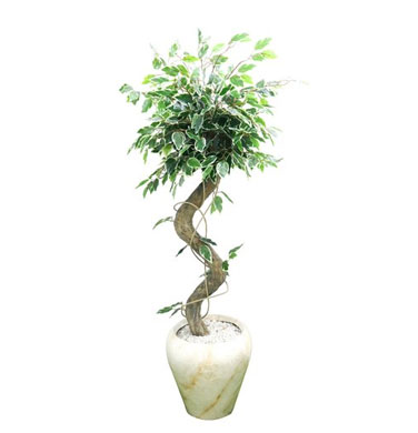 Small Artificial Trees