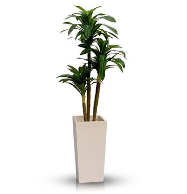 Small Artificial Trees